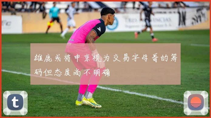 雄鹿或将申京视为交易字母哥的筹码但态度尚不明确