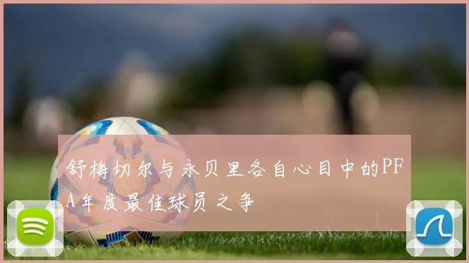 舒梅切尔与永贝里各自心目中的PFA年度最佳球员之争
